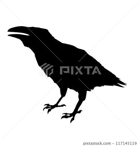 Bird Raven Crow Black Silhouette for Icon. 117145119