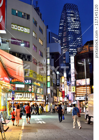 Night view of downtown Nishi-Shinjuku 117145120