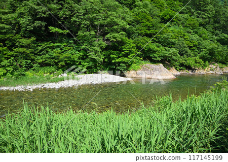 新潟縣十日町市清津河流經清新的綠色森林,初夏風景 新潟縣十日町市清津河流經清新的綠色森林,初夏風景 117145199