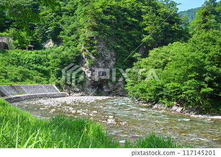 新潟縣十日町市清津河流經清新的綠色森林,初夏風景 新潟縣十日町市清津河流經清新的綠色森林,初夏風景 117145201