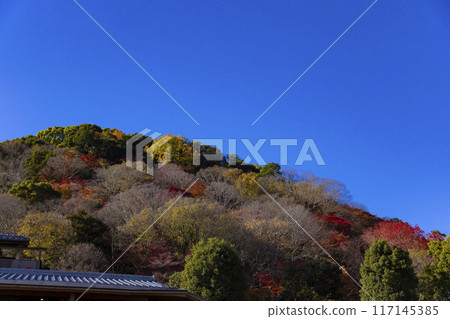 Autumn leaves on the mountains around the Katsura River in Kyoto 117145385