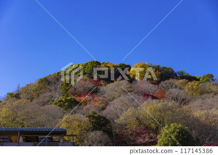 Autumn leaves on the mountains around the Katsura River in Kyoto 117145386