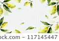 檸檬和樹葉背景 117145447