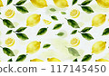 新鮮檸檬背景水彩風格 117145450