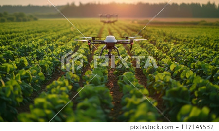 Agricultural drones monitor fields at dawn 117145532