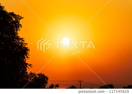 Orange Sunrise with Tree Silhouette Orange Sunrise with Tree Silhouette 117145829