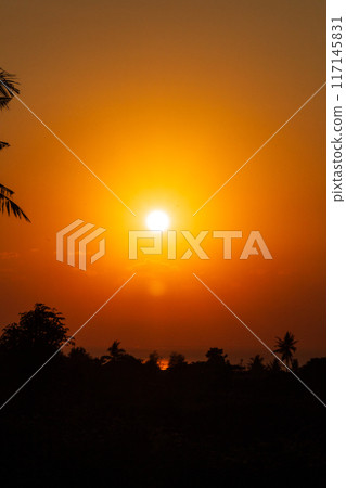 Golden Sunrise Over the Horizon 117145831