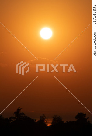 Golden Sunrise Over the Horizon 117145832