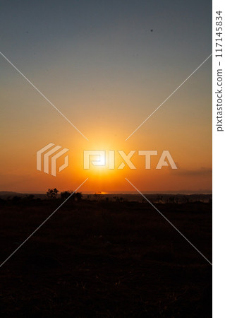 Golden Sunrise Over the Horizon 117145834