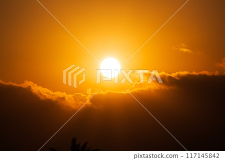 Golden Sunset in the Sky with clouds below 117145842