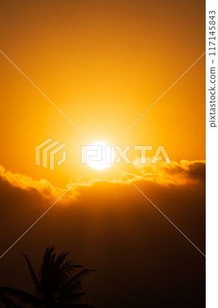 Golden Sunset in the Sky with clouds below 117145843