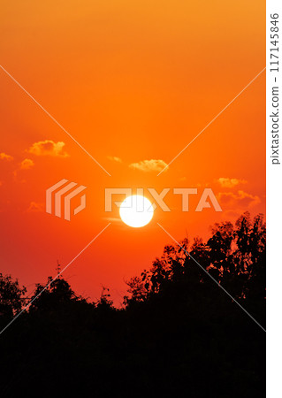 Orange Sunrise with Tree Silhouette 117145846