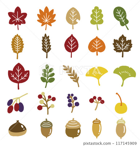 Flat illustrations of autumn leaves and nuts (set) 117145909