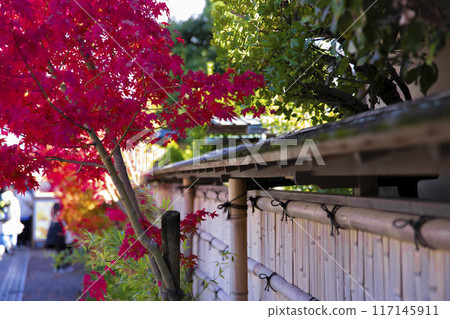 Old streets and autumn foliage around the Katsura River in Kyoto 117145911
