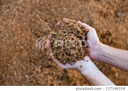 Male hands holding handful of beer bagasse Male hands holding handful of beer bagasse 117146314