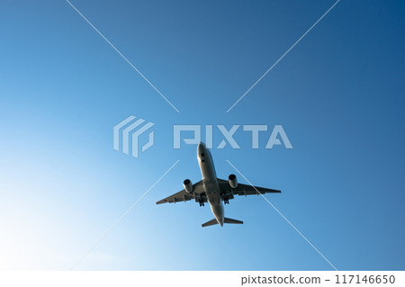 Flight aircraft 117146650