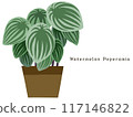 Watermelon Pepe 117146822