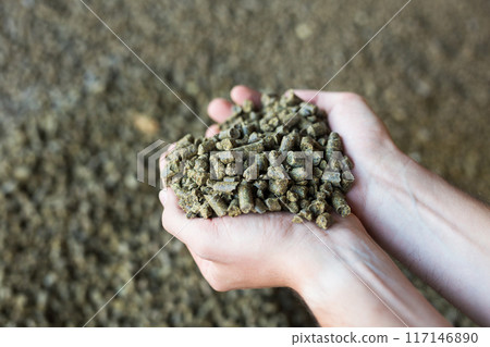 Closeup of handful of granulated rapeseed meal in male hands 117146890