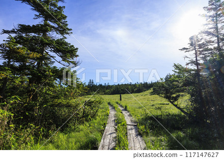 夏日尾瀨鳩町通~橫田代~綾平~富士見通 夏日尾瀨鳩町通~橫田代~綾平~富士見通 117147627