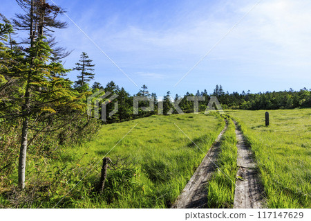 夏日尾瀨鳩町通～橫田代～綾平～富士見通 117147629