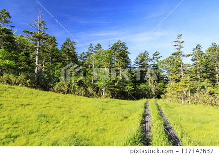 夏日尾瀨鳩町通～橫田代～綾平～富士見通 117147632
