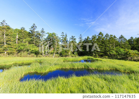 夏日尾瀨鳩町通~橫田代~綾平~富士見通 夏日尾瀨鳩町通~橫田代~綾平~富士見通 117147635