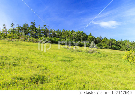 夏日尾瀨鳩町通～橫田代～綾平～富士見通 117147646