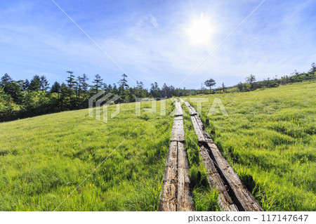 夏日尾瀨鳩町通~橫田代~綾平~富士見通 夏日尾瀨鳩町通~橫田代~綾平~富士見通 117147647