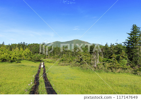 Summer Oze: Hatomachi Pass - Yokotashiro - Ayamedaira - Fujimi Pass 117147649