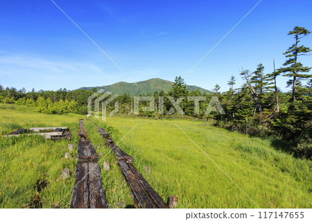 Summer Oze: Hatomachi Pass - Yokotashiro - Ayamedaira - Fujimi Pass Summer Oze: Hatomachi Pass - Yokotashiro - Ayamedaira - Fujimi Pass 117147655