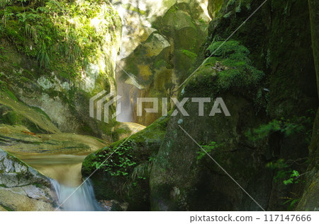 溪流風光 117147666