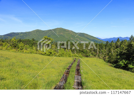 夏日尾瀨鳩町通～橫田代～綾平～富士見通 117147667