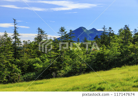 Summer Oze: Hatomachi Pass - Yokotashiro - Ayamedaira - Fujimi Pass 117147674