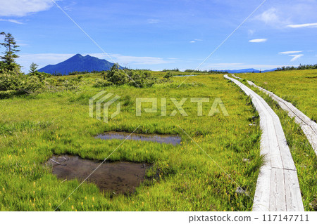 Summer Oze: Hatomachi Pass - Yokotashiro - Ayamedaira - Fujimi Pass 117147711