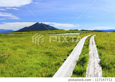 Summer Oze: Hatomachi Pass - Yokotashiro - Ayamedaira - Fujimi Pass 117147712