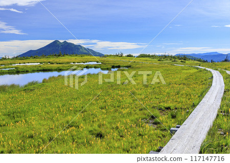 Summer Oze: Hatomachi Pass - Yokotashiro - Ayamedaira - Fujimi Pass 117147716