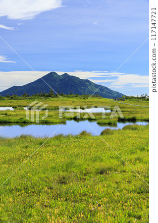 夏日尾瀨鳩町通～橫田代～綾平～富士見通 117147721