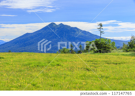 夏日尾瀨鳩町通~橫田代~綾平~富士見通 夏日尾瀨鳩町通~橫田代~綾平~富士見通 117147765