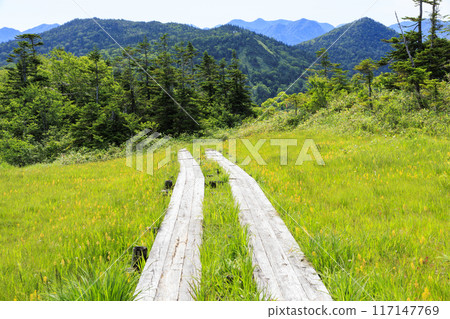 夏日尾瀨鳩町通～橫田代～綾平～富士見通 117147769