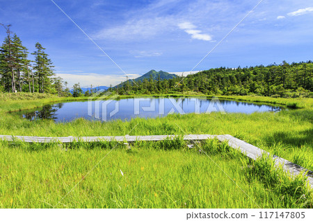 Summer Oze: Hatomachi Pass - Yokotashiro - Ayamedaira - Fujimi Pass Summer Oze: Hatomachi Pass - Yokotashiro - Ayamedaira - Fujimi Pass 117147805