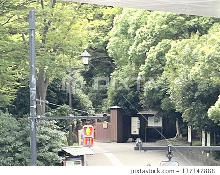 濱離宮恩賜庭園的樹木 117147888