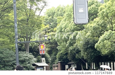 Trees in Hamarikyu Gardens 117147889