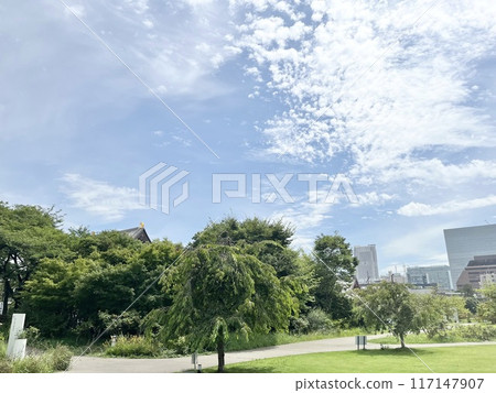 Skyscrapers shining against the autumn blue sky Skyscrapers shining against the autumn blue sky 117147907