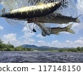 飛香魚 117148150