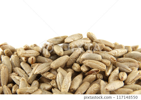 Pile of rye grains isolated on a white background Pile of rye grains isolated on a white background 117148550