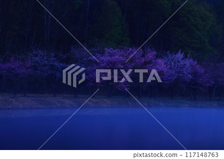 Semboku City, Akita Prefecture Spring Play Park Tose 117148763