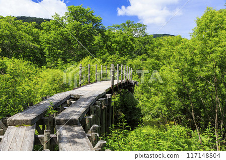 夏天尾瀨尾瀨原 117148804