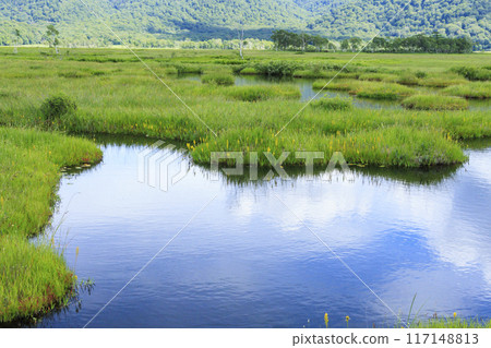 夏天尾瀨尾瀨原 夏天尾瀨尾瀨原 117148813