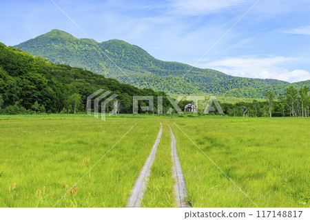 夏天尾瀨尾瀨原 117148817