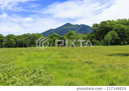 Summer Oze: Ozegahara Summer Oze: Ozegahara 117148829